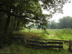 Aamsveen